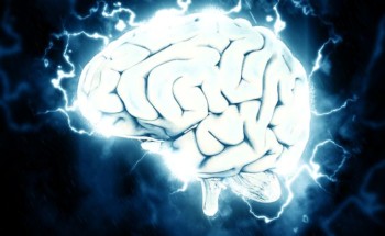 O Ómega 3 acelera o cérebro? Não há evidências que o provem