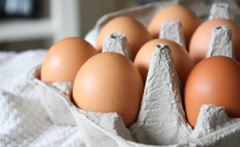 Comer ovos aumenta o colesterol? Não, mas o consumo deve ser moderado