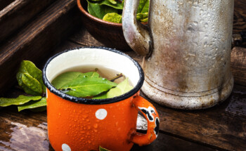 Chá de louro e cravo-da-índia emagrece e “seca barriga”?