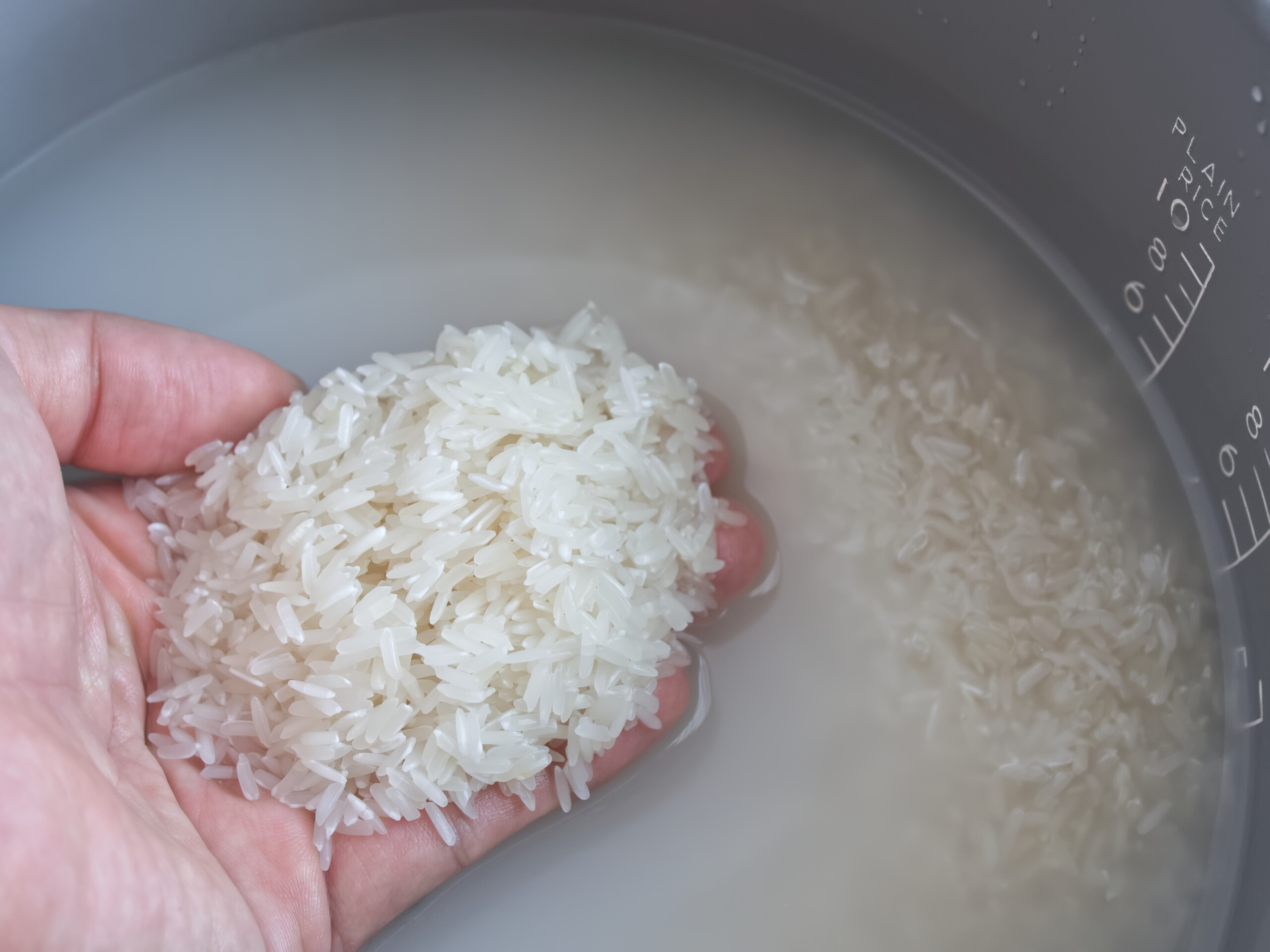 lavar o arroz