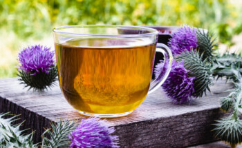 Chá de cardo-mariano cura o fígado gordo?