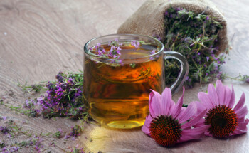 Chá de equinácea fortalece a imunidade e protege de doenças?