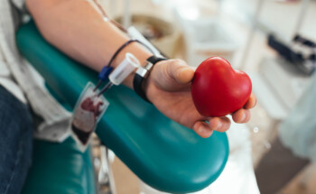 Doar sangue engorda? 7 mitos e verdades sobre a doação de sangue