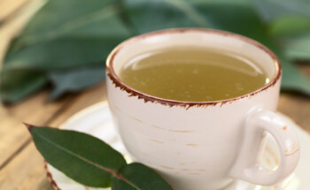 Chá de eucalipto previne e trata a diabetes?