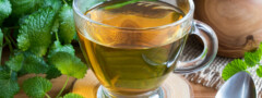 Chá de erva-cidreira reduz o risco de Alzheimer?