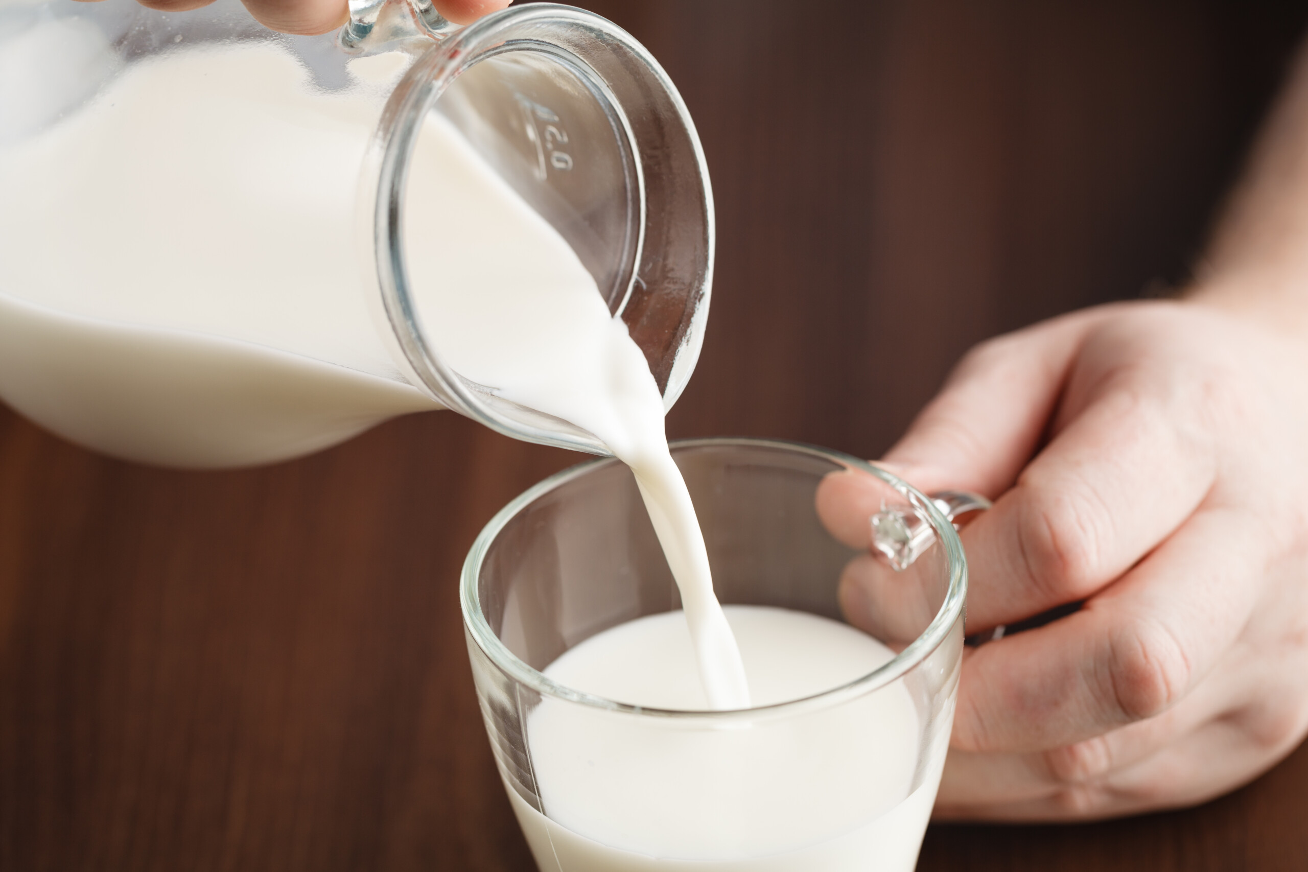 leite de vaca bebidas vegetais introdução alimentar bebés crianças