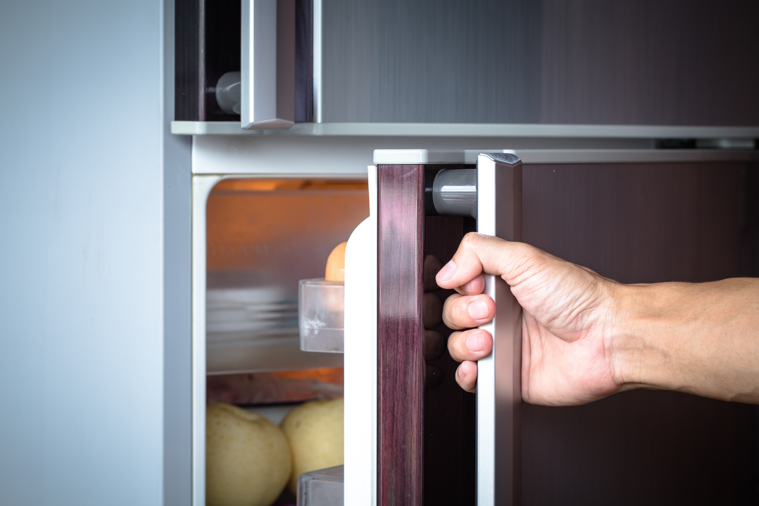 como arrumar e organizar o frigorífico conservar alimentos intoxicações alimentares